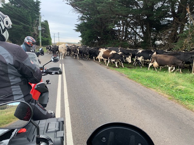 Tasmania motorcycle tour